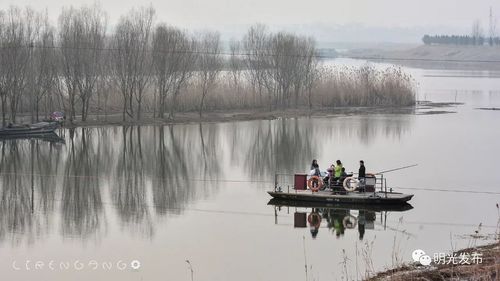 【美图】他们说这些美景都是明光的.