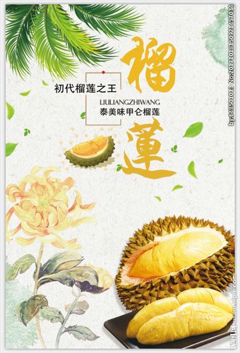 榴莲海报设计图__广告设计_广告设计_设计图库_昵图网nipic.com