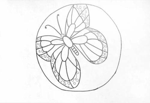 大圆(老师可以提前用圆规画出来),然后在大圆内画出蝴蝶椭圆形的胸部