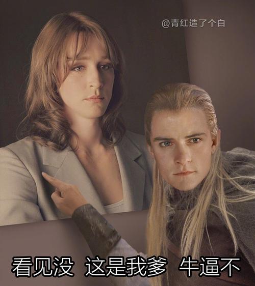 股东们有没有指环王相关的表情包