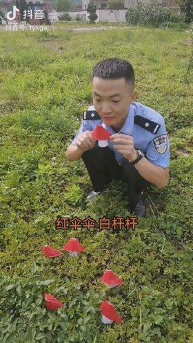 红伞伞白杆杆