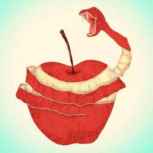 论苹果的地位原来平安夜只有中国人吃苹果