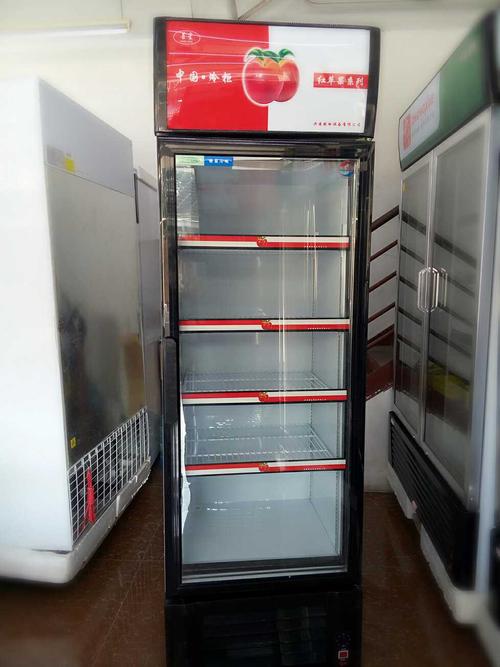 穗凌lg4-289l冰柜商用立式啤酒饮料展示柜家用小型保鲜冷藏柜冷柜