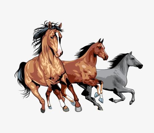 三匹奔驰的骏马