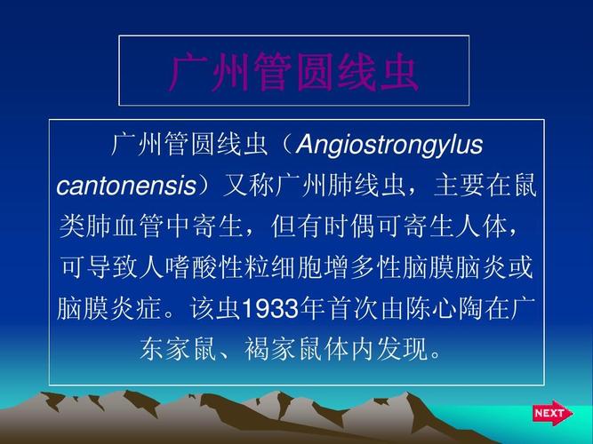 广州管圆线虫(1)ppt