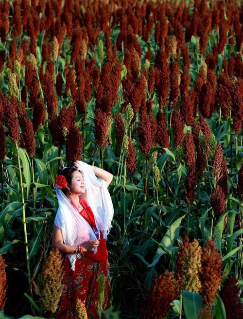 大姑娘美,大姑娘浪.