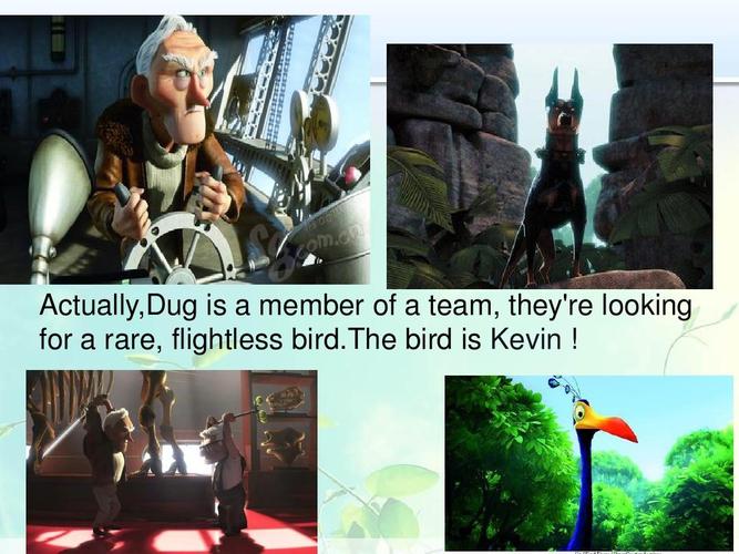 a member of a team, they"re looking for a rare, flightless bird