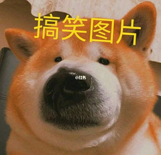 笑一个04_搞笑_搞笑_搞笑其他