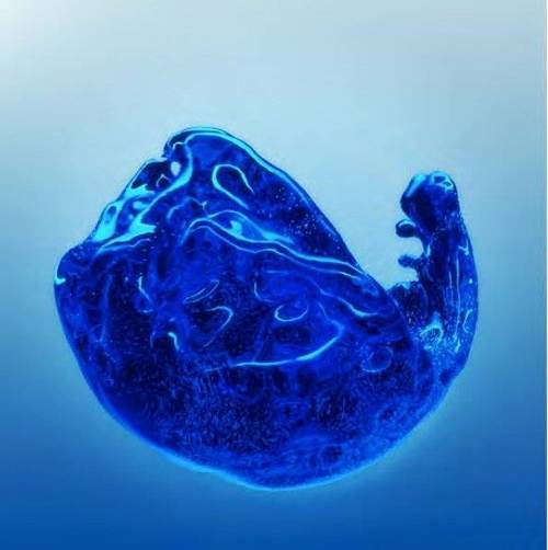 沉浸式元宇宙艺术科技展immeta