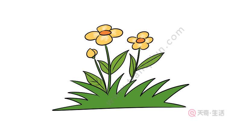 花草简笔画教程 花草简笔画怎么画