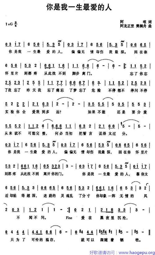 你是我一生最爱的人(阿唯词 阿龙正罡曲)
