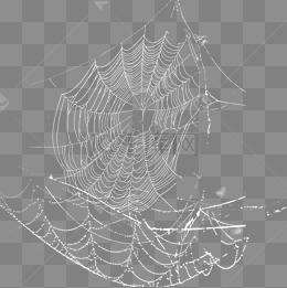 蛛丝卡通头像