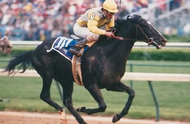 日本种马之王,周日宁静