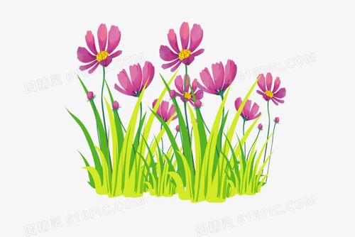 手绘卡通矢量格桑花免抠素材