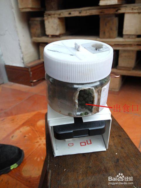 diy鱼缸自动喂食器