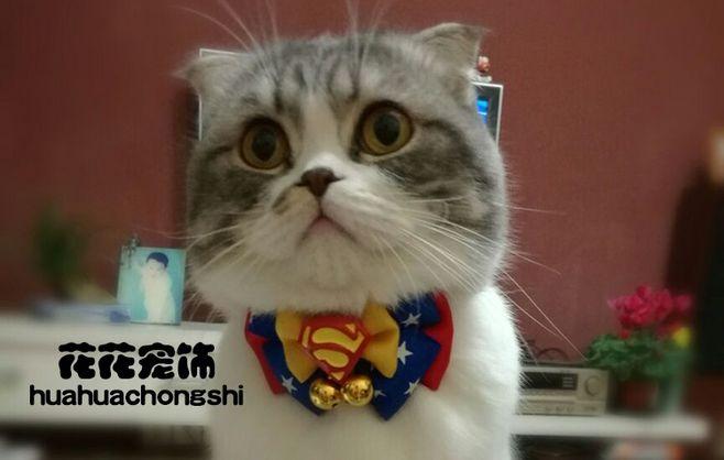 花花宠饰狗狗领结大型犬猫咪领结猫领结狗狗蝴蝶结项圈狗狗领带-淘宝