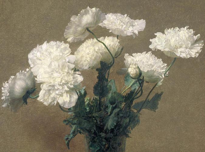 罂粟花poppies henri fantin-latour油画作品欣赏