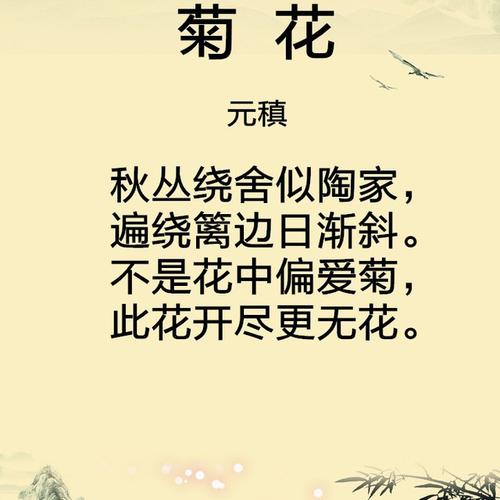 菊花--元稹(唐诗300首)