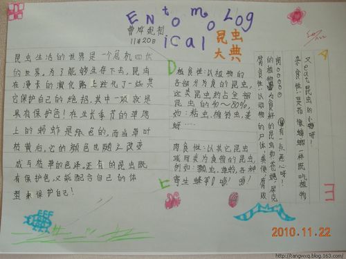 走进昆虫,我爱昆虫_大自然手抄报