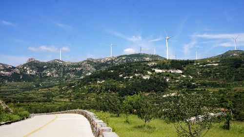 安丘市城顶山路.