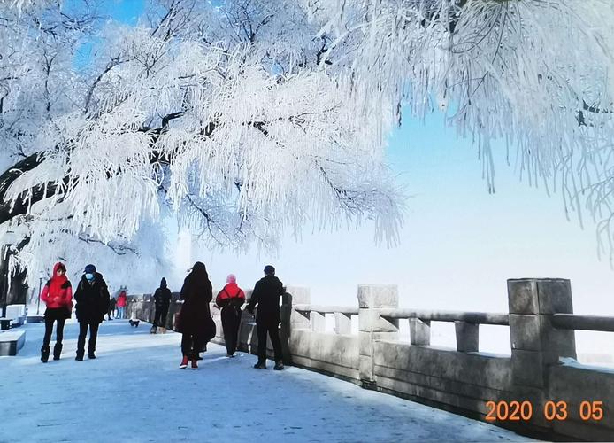 松花江畔雾淞美