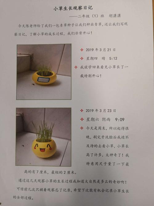草头娃娃成长分享记