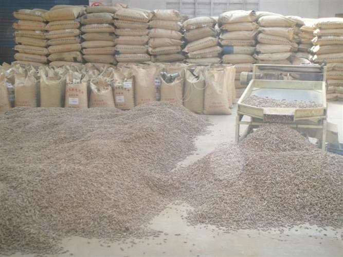 生物质颗粒燃料1