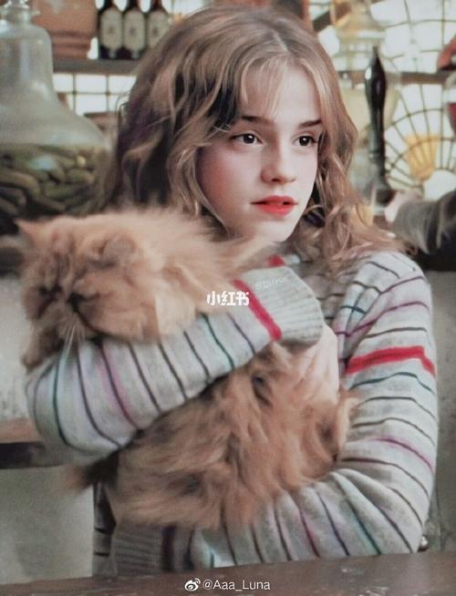 超神仙的赫敏壁纸#哈利波特#赫敏格兰杰_壁纸_哈利波特_素材_壁纸