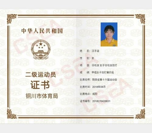 汪子涵   陕西省羽毛球,国家二级运动员