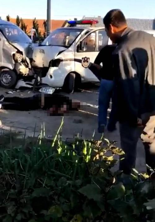 图片来源:黑龙江新鲜事 据