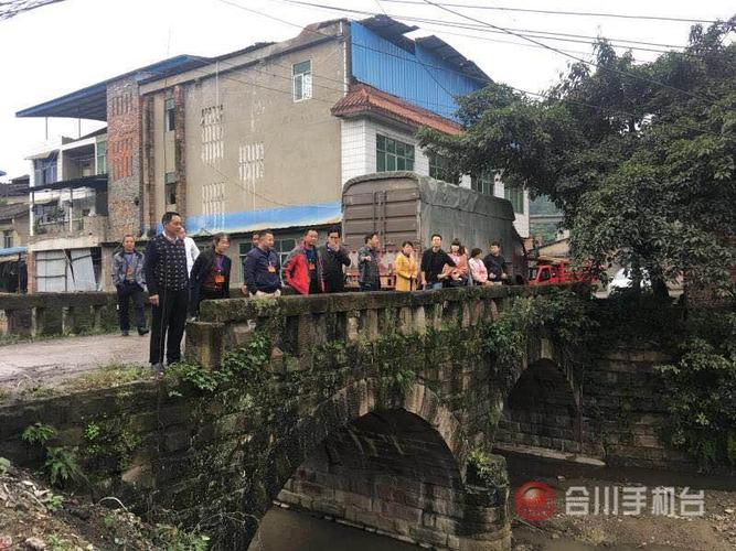 合川清平镇:人大代表集中视察农村环境整治工作