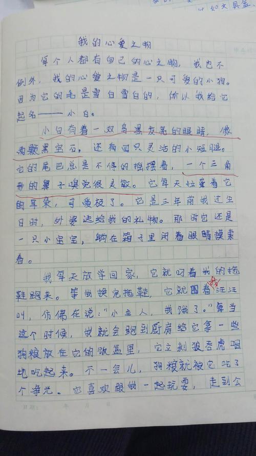 《我的心爱之物》--建东校区习作