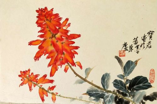 城乡百业皆兴旺,万户千家一串红!