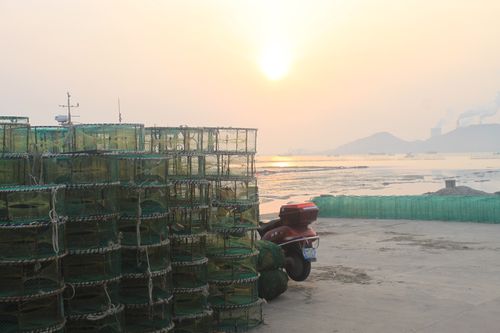 清明扫墓踏青宁波之旅
