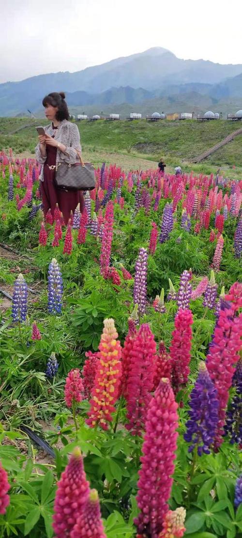 新疆吉木萨尔北庭百花谷"星空房"民宿成为当地网红打卡地