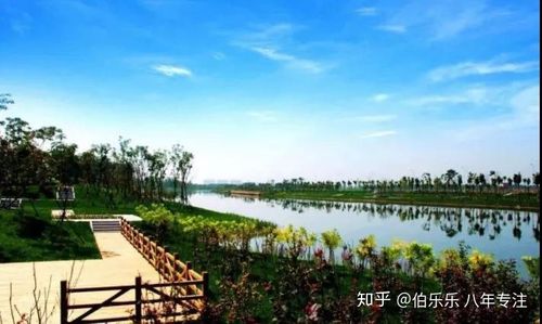 永定河湿地公园