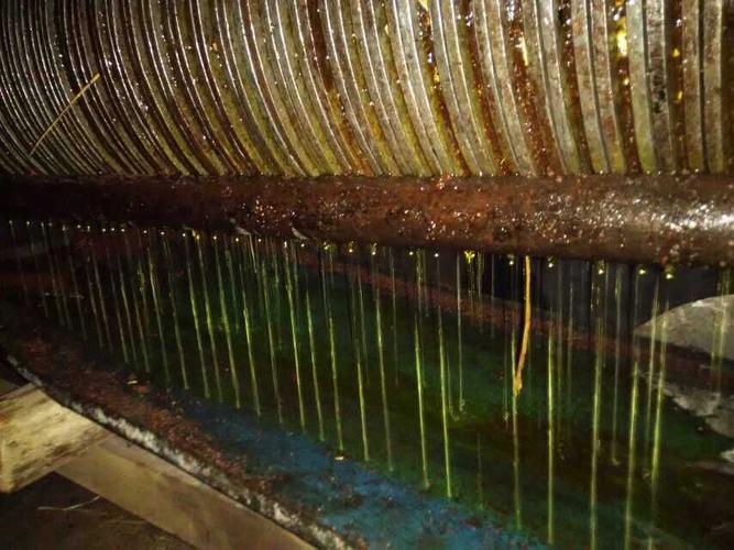 山茶油物理压榨流程