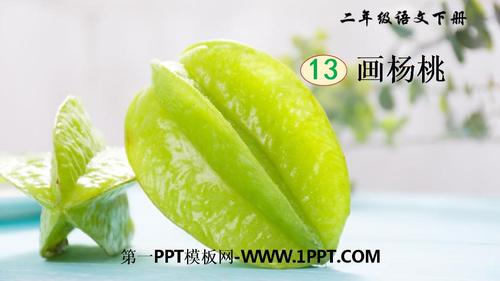 13 画杨桃(课件)精品课件.pptx 31页