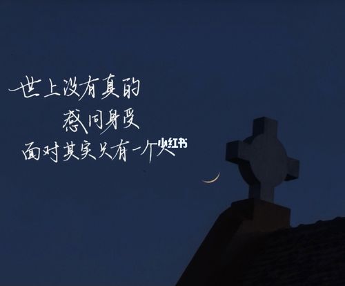 世界上没有真正的感同身受_素材_素材_文字素材
