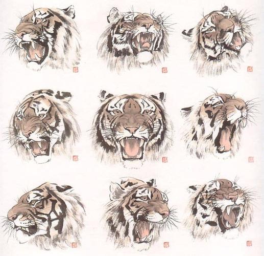 国画老虎的画法图文详解!中国名画家画虎作品欣赏!