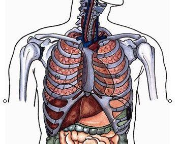 右上腹肋骨下不舒服