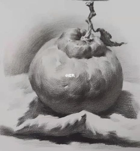 丑橘92单体明暗步骤示范_素描_素描教程_文化_绘画