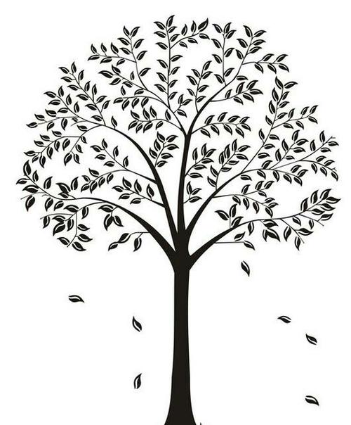 学习画的简笔画