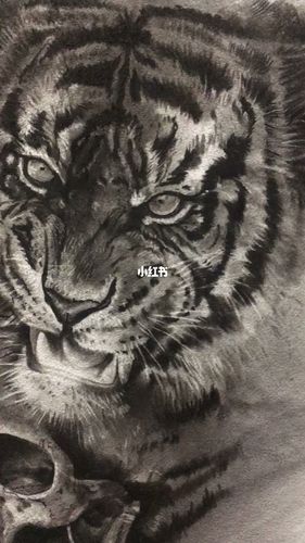 虎_纹身_虎啸堂纹身攻略_画画_文化_绘画