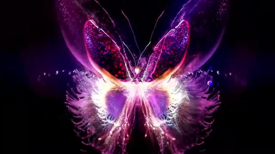 炫彩蝴蝶特效舞台背景_1280x720_高清视频素材下载(:)