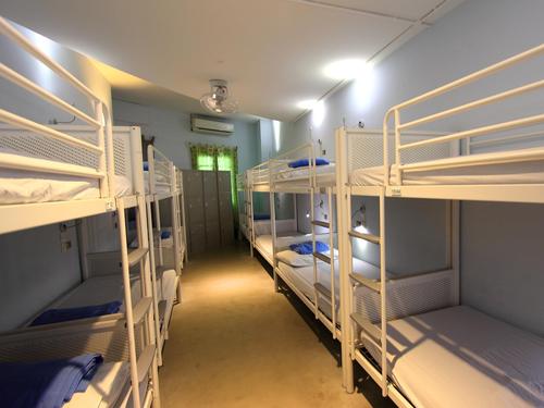 混合14人标准宿舍-单人床位 (standard    share mixed dormitory)