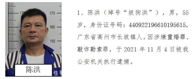 高州打掉长坡镇陈洪坡狗洪为首的涉黑团伙请受害者和群众举报