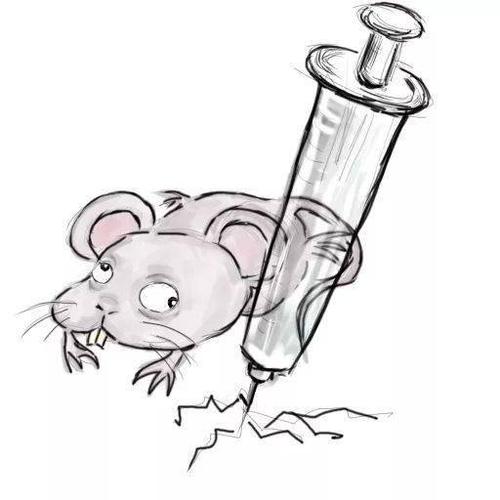 国际禁毒日,我们一起对毒品说"no"!