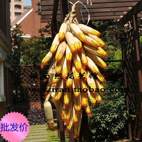 仿真花批发 仿真玉米串 农家乐饭店家居装饰品场景 假玉米串 假花