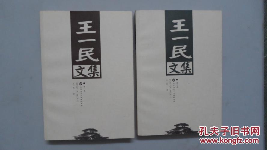 王一民文集(套装2册)